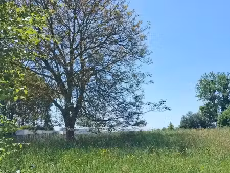 vente terrain 2934 m² à argoules (80120)  53 000 €