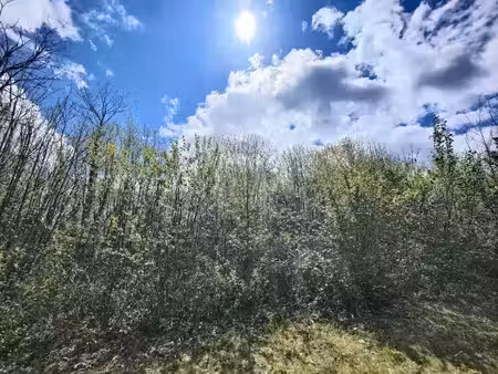 vente terrain 1000 m² à marsac-sur-l'isle (24430)  55 000 €