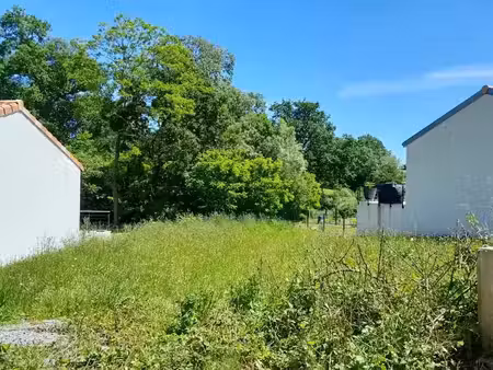 vente terrain 451 m² à rouans (44640)  70 000 €