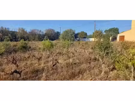 vente terrain 785 m² à argens-minervois (11200)  79 900 €