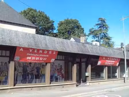 vente maison à châteaubourg (35220) : à vendre / 182m² châteaubourg