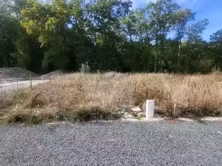 vente terrain 431 m² à médis (17600)  93 000 €