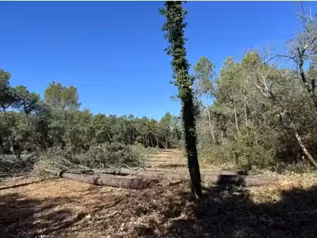vente terrain 344 m² à suze-la-rousse (26790)  85 000 €