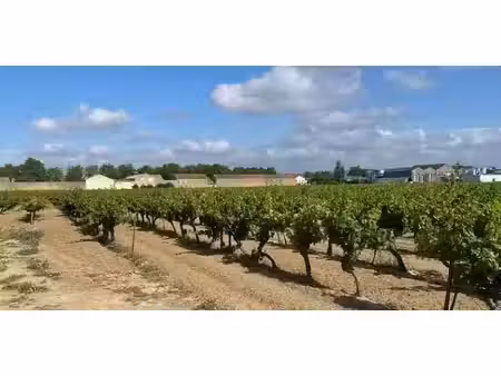 vente terrain 521 m² à canet (11200)  84 900 €