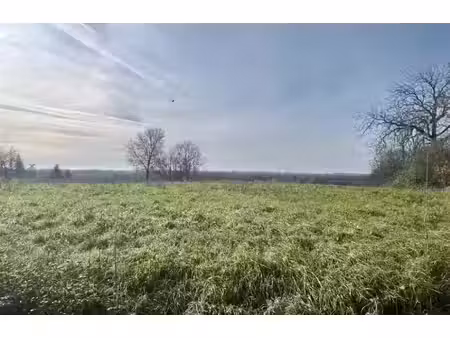 vente terrain 1331 m² à polliat (01310)  89 000 €