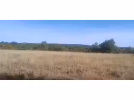 vente terrain 1500 m² à issirac (30760)  102 000 €