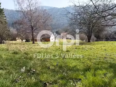 vente terrain 3606 m² à goldbach-altenbach (68760)  140 000 €