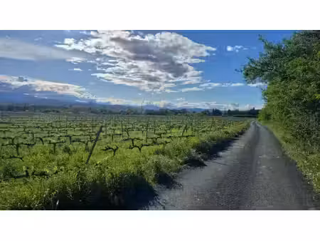 vente terrain 400 m² à ponteilla (66300)  128 000 €
