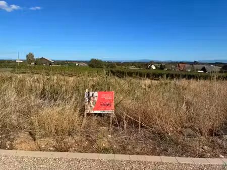 vente terrain 458 m² à beblenheim (68980)  133 000 €