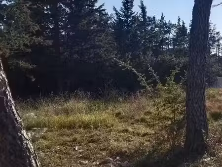vente terrain 495 m² à la bastide-des-jourdans (84240)  128 000 €
