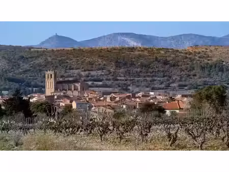 vente terrain 775 m² à baixas (66390)  159 000 €