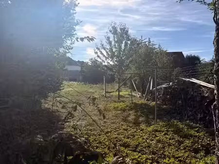 vente terrain 1180 m² à werentzhouse (68480)  155 000 €
