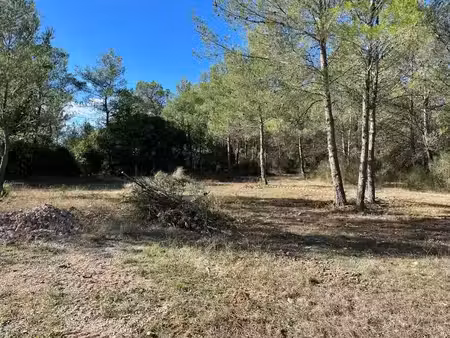 vente terrain 1200 m² à méounes-lès-montrieux (83136)  160 000 €