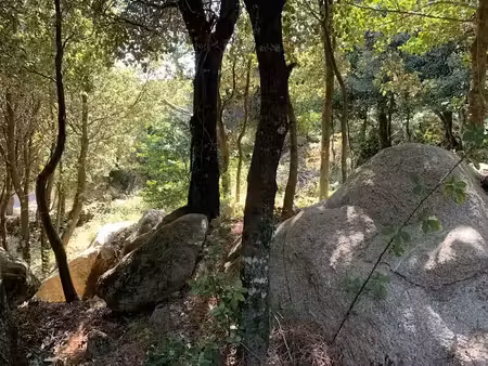 vente terrain 495 m² à porto-vecchio (20137)  165 000 €