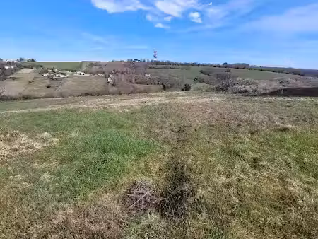 vente terrain 1326 m² à mervilla (31320)  195 000 €