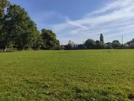 vente terrain 5000 m² à douville-en-auge (14430)  269 000 €