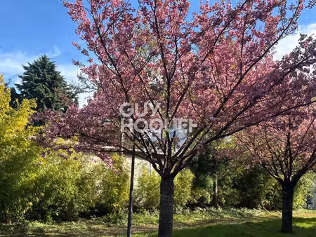 appartement montreuil 4 pièce(s) 80 m2