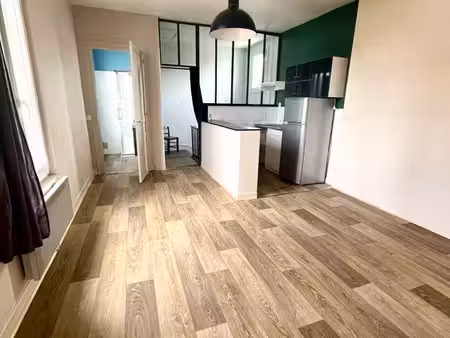 grand appart t2 lumineux - secteur jaurès / gare