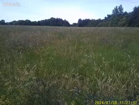 terrain a loué