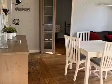 location meublée rue saint charles 75015