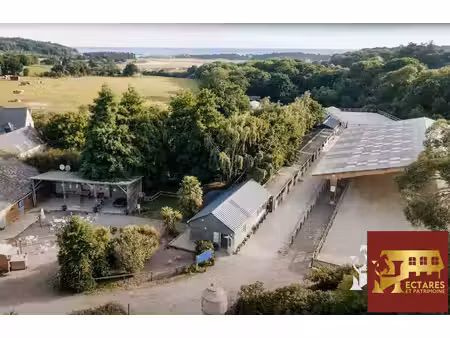exploitation agricole à vendre à plurien