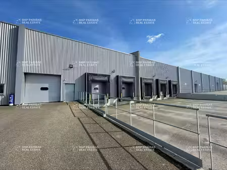 entrepôt à louer