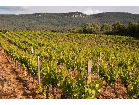 propriété viticole à vendre à aix-en-provence
