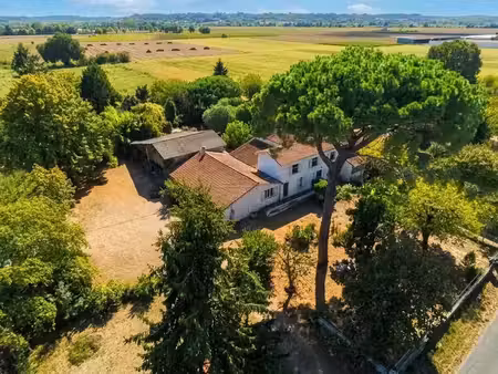 vente maison 11 pièces 315 m² à saint-pey-de-castets (33350)  220 000 €
