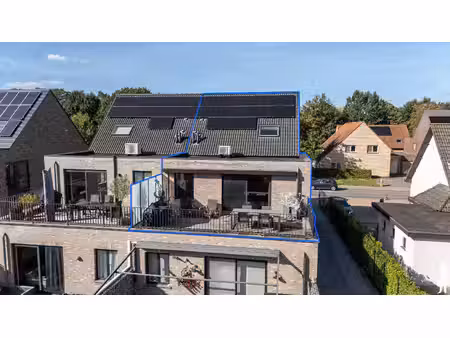appartement te koop in ranst met 3 slaapkamers