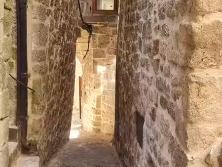 vente maison 10 pièces 120 m² largentière (07110)