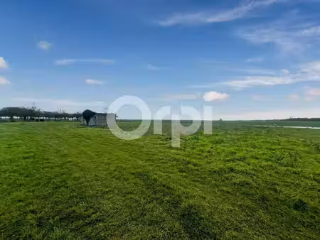 terrain à vendre