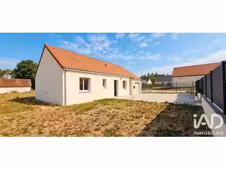 maison à vouzon (41600)