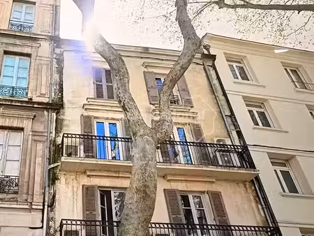 location appartement 1 pièce 17 m² à avignon (84000)