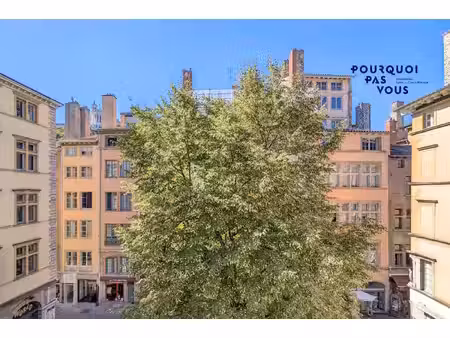 bel appartement familial - coeur du vieux lyon