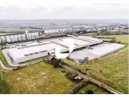 location entrepôt baziege 31450 4280m²