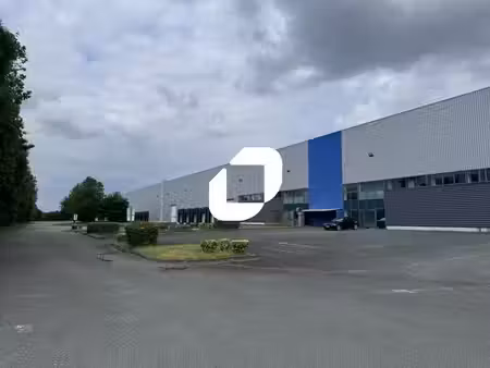 location entrepôt dechy 59187 8000m² à 17536m²