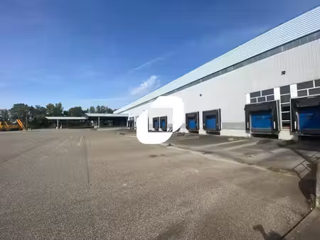 location entrepôt strasbourg 67100 6736m² à 28000m²
