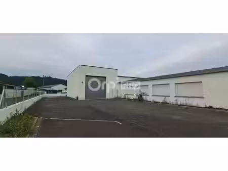 location local d’activités lons 64140 603m²