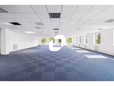 location local d’activités villepinte 93420 260m² à 810m²