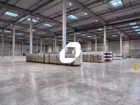 location entrepôt saint laurent blangy 62223 6000m² à 48100m²