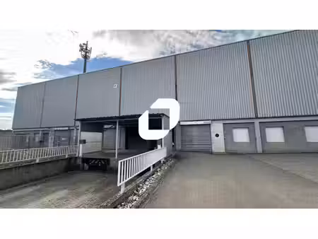 location local d’activités selestat 67600 260m²