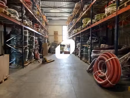 location local d’activités saint priest 69800 339m²