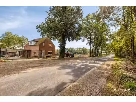 uniek wonen op een riant perceel van 4.830 m² in hechtel