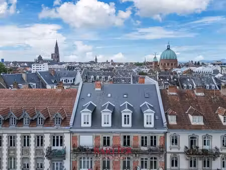 appartement de 6 pièces de luxe en vente à strasbourg  grand est