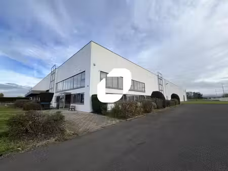 location local d’activités nieppe 59850 2420m² à 7600m²