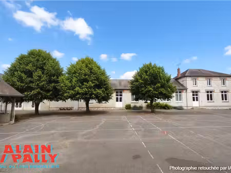 achat local professionnel 290m² cloyes les trois rivieres 28220