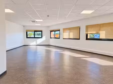 achat local professionnel 81m² la ville aux dames 37700
