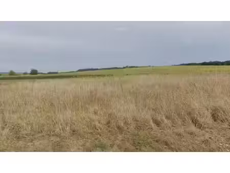 vente terrain 1000 m² à saint-agne (24520)  21 600 €