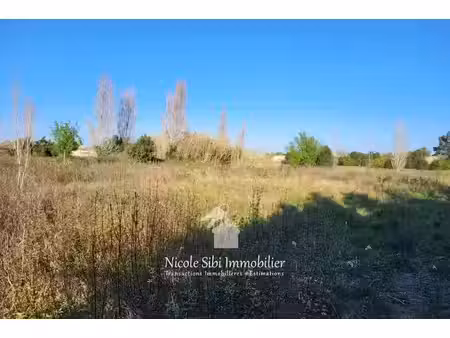 vente terrain 1600 m² à saint-hippolyte (66510)  9 300 €