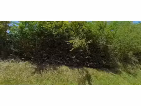 vente terrain 1251 m² à coursac (24430)  22 000 €